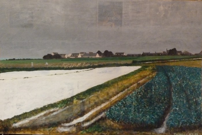 le champs en plastique