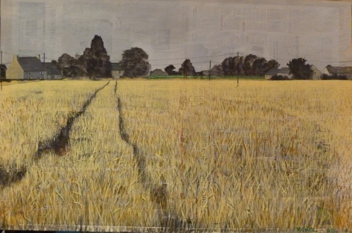 sillons dans les blés