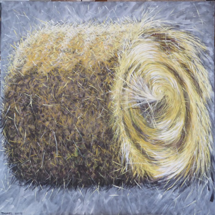 ballot de foin juillet 2017 (100x100)