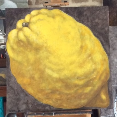 citron potelé juil. 2017 (100x100)