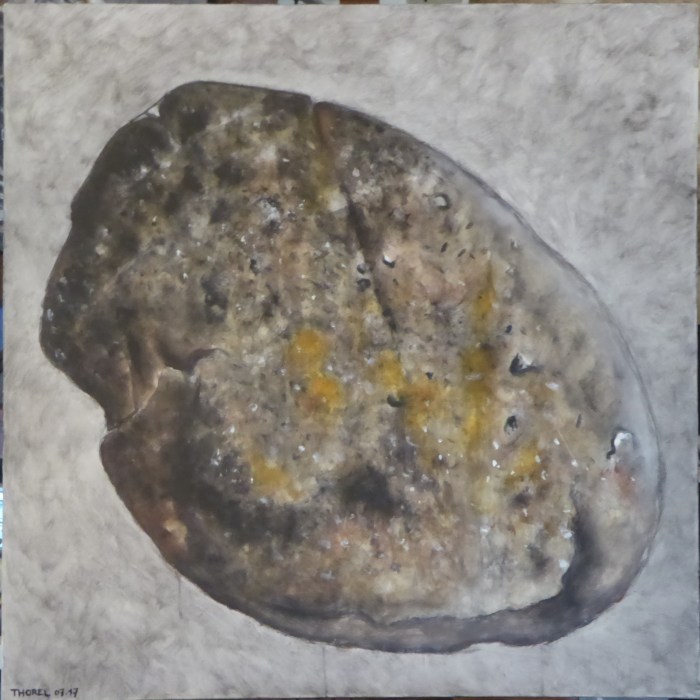 galet juillet 2017 (100x100)