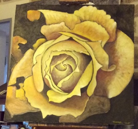 rose jaune oct. 2017 (100x100)