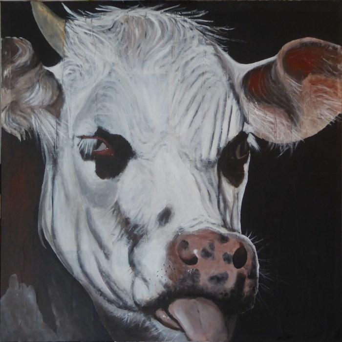 3- vache en colère