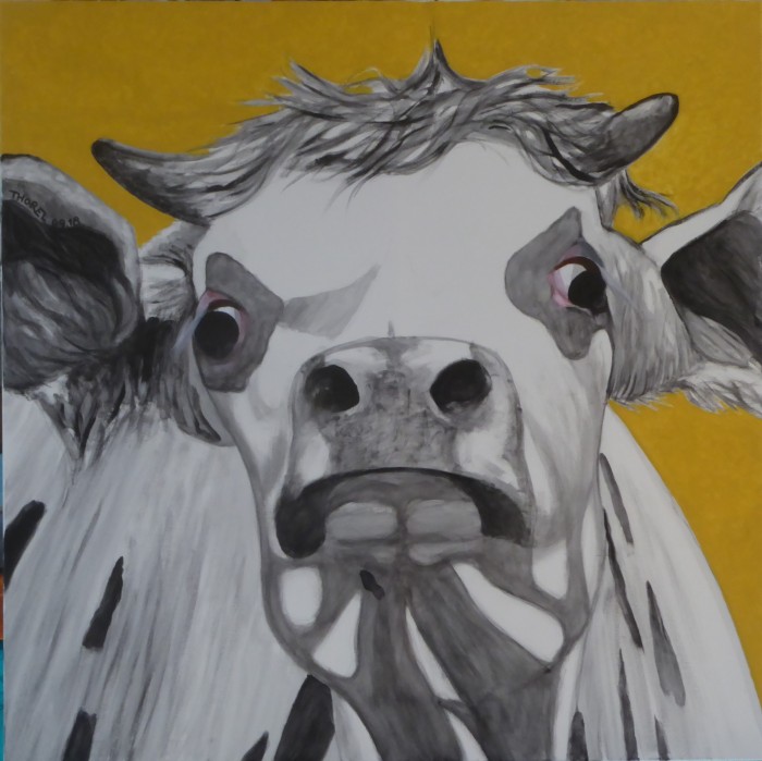 9- vache en colère (2)